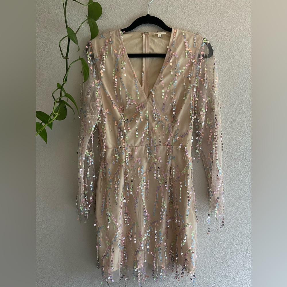 Champagne sequin dress